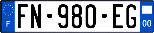 FN-980-EG