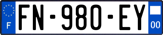 FN-980-EY