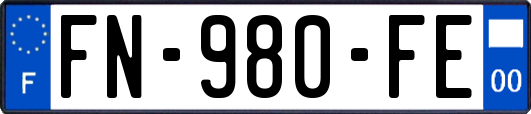 FN-980-FE