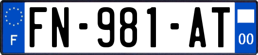 FN-981-AT