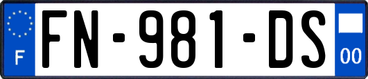 FN-981-DS