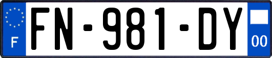 FN-981-DY