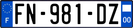 FN-981-DZ