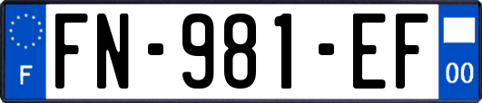 FN-981-EF