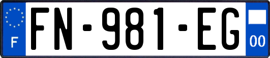 FN-981-EG