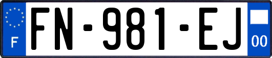 FN-981-EJ