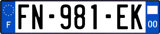 FN-981-EK