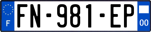 FN-981-EP
