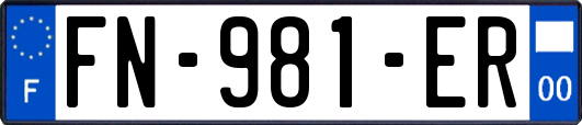 FN-981-ER