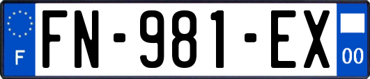 FN-981-EX