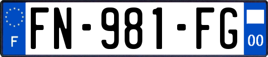 FN-981-FG