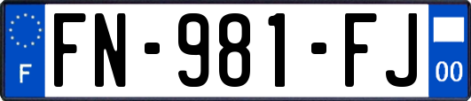 FN-981-FJ