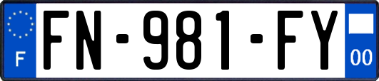 FN-981-FY