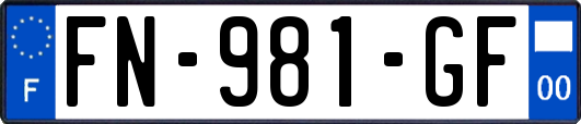 FN-981-GF