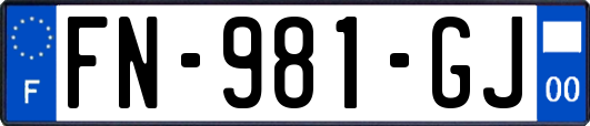 FN-981-GJ