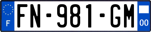 FN-981-GM
