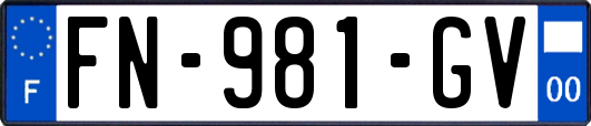 FN-981-GV
