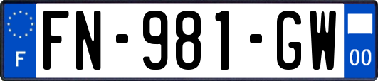 FN-981-GW