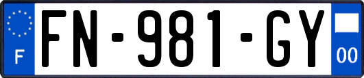 FN-981-GY