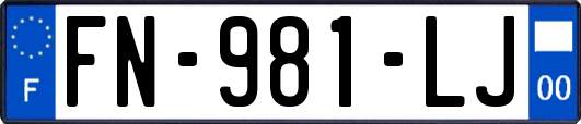 FN-981-LJ