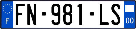 FN-981-LS