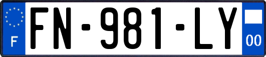 FN-981-LY
