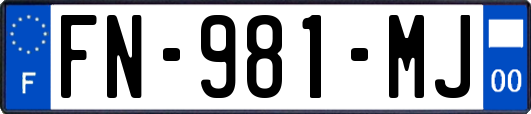 FN-981-MJ
