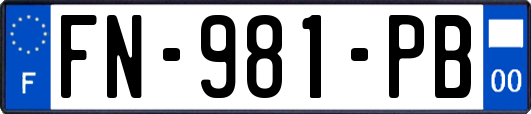 FN-981-PB