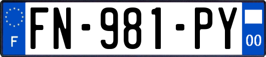 FN-981-PY