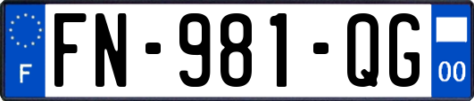 FN-981-QG