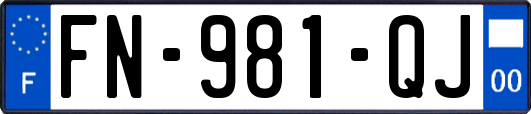 FN-981-QJ