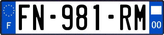 FN-981-RM