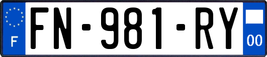 FN-981-RY