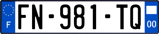 FN-981-TQ