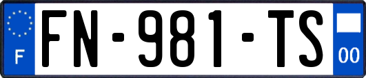 FN-981-TS