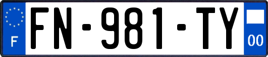 FN-981-TY