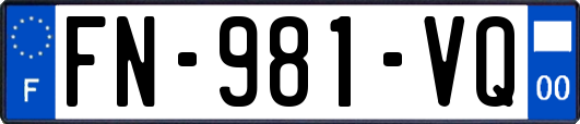 FN-981-VQ