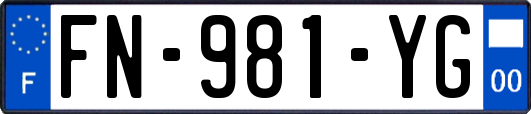 FN-981-YG