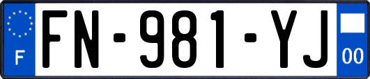 FN-981-YJ