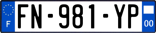 FN-981-YP