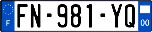 FN-981-YQ