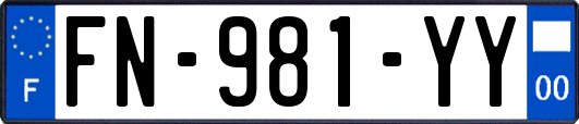 FN-981-YY