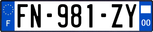FN-981-ZY