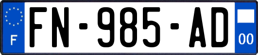 FN-985-AD