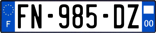 FN-985-DZ