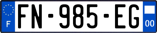 FN-985-EG