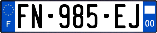 FN-985-EJ