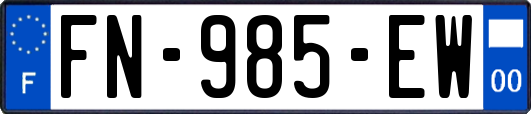 FN-985-EW