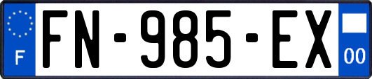 FN-985-EX