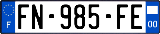 FN-985-FE